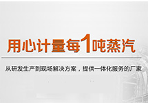 SISEN飽和蒸汽計量系統(tǒng)在蒸汽領(lǐng)域的應(yīng)用