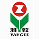 專業(yè)的解決方案 是雅致集團(tuán)選擇西森的理由