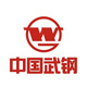武漢鋼鐵集團(tuán)（武漢）