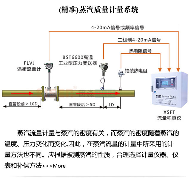 [精準]飽和蒸汽計量系統(tǒng)