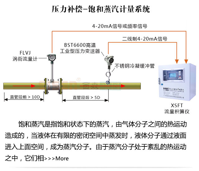 壓力補償蒸汽質(zhì)量計量系統(tǒng)