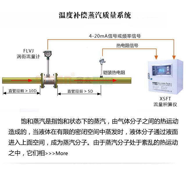 溫度補償蒸汽質(zhì)量計量系統(tǒng)