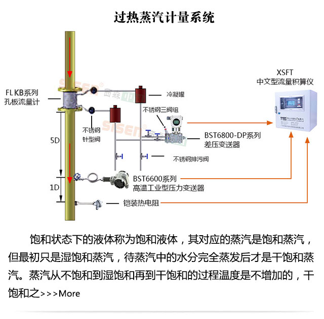 過熱蒸汽計量系統(tǒng)