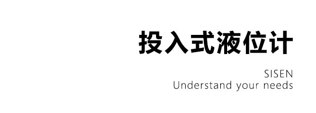集氣筒分體投入式液位計(jì)