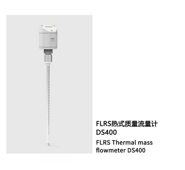 熱式質(zhì)量流量計(jì)DS400