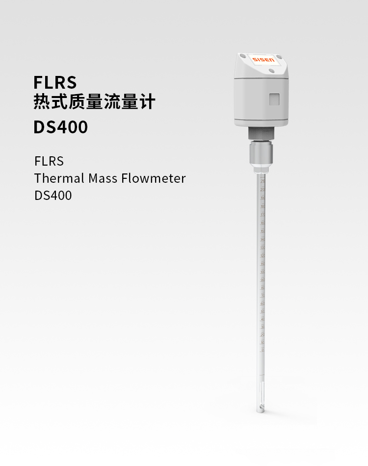 熱式質(zhì)量流量計DS400