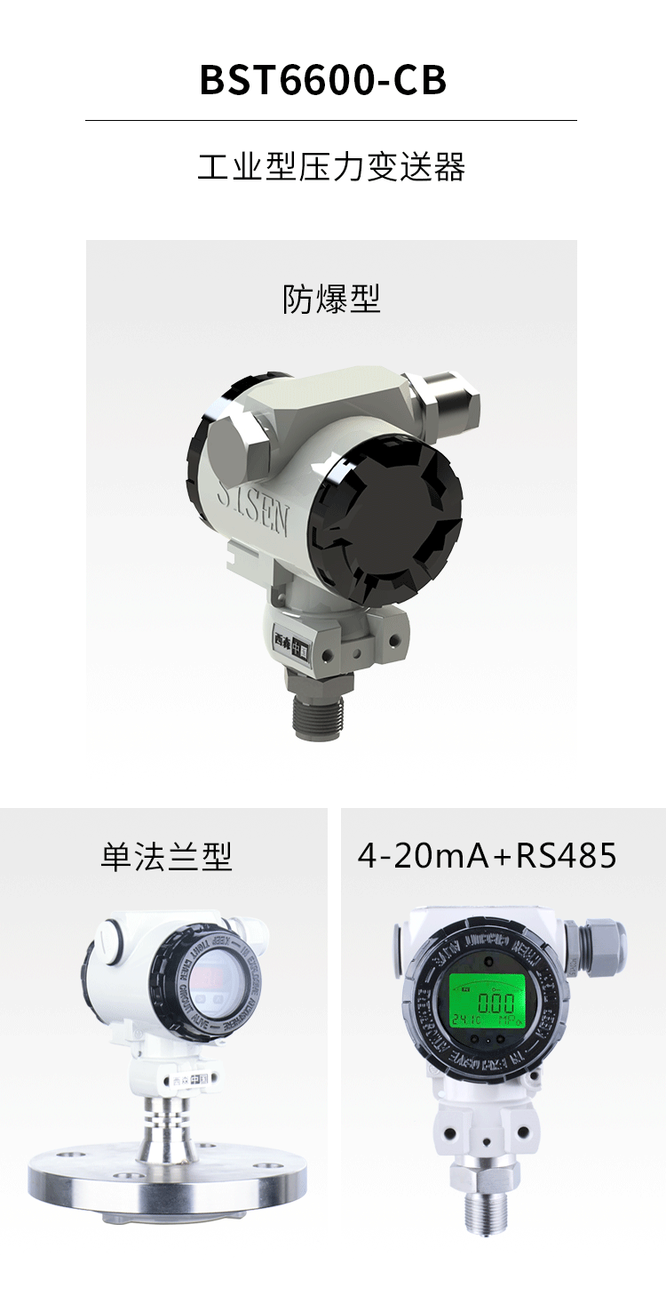 BST6600-CB工業(yè)型