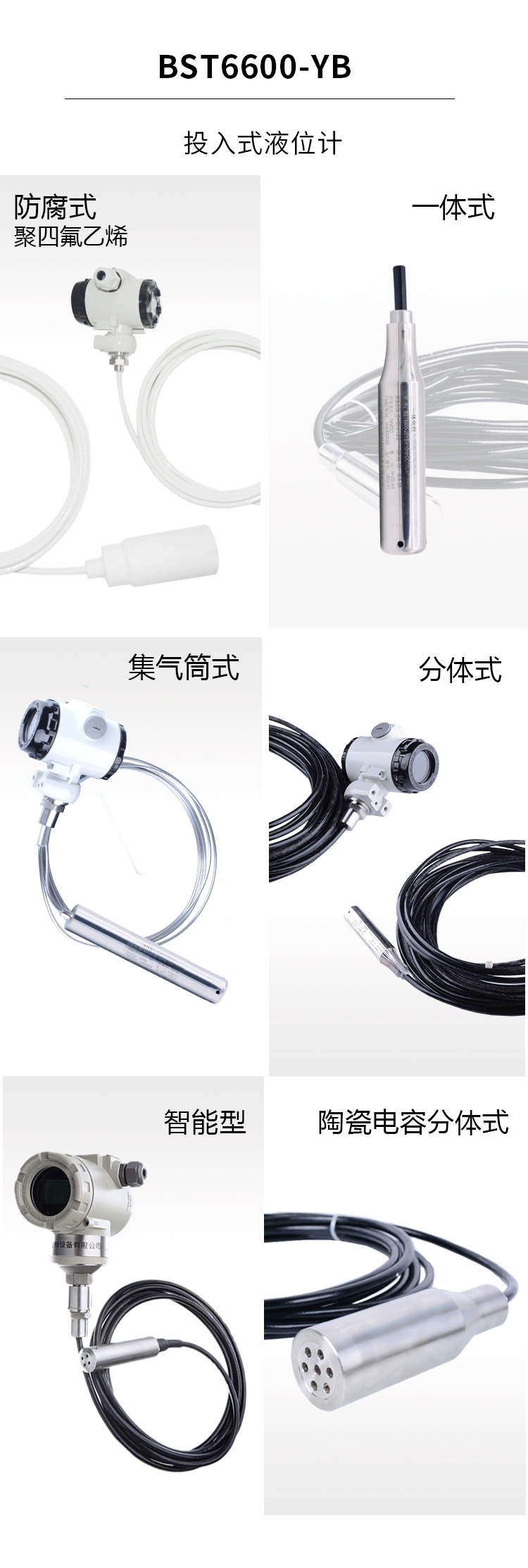 BST6600-YB投入式液位計