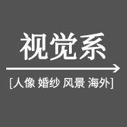 視覺(jué)系