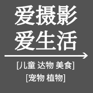 愛(ài)攝影 愛(ài)生活
