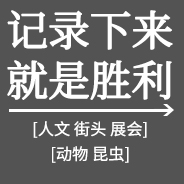 記錄下來(lái)就是勝利 團(tuán)隊(duì)展示11