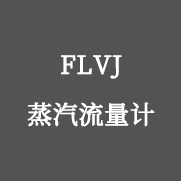 FLVJ蒸汽流量計(jì)