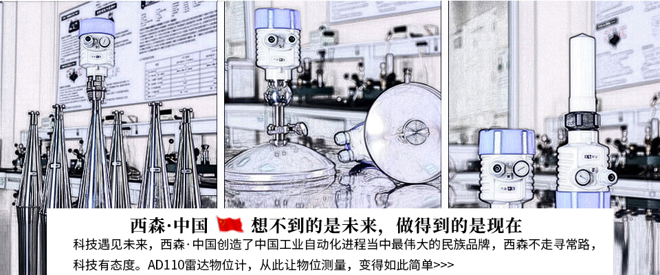 西森AD110系列雷達(dá)物位計(jì)