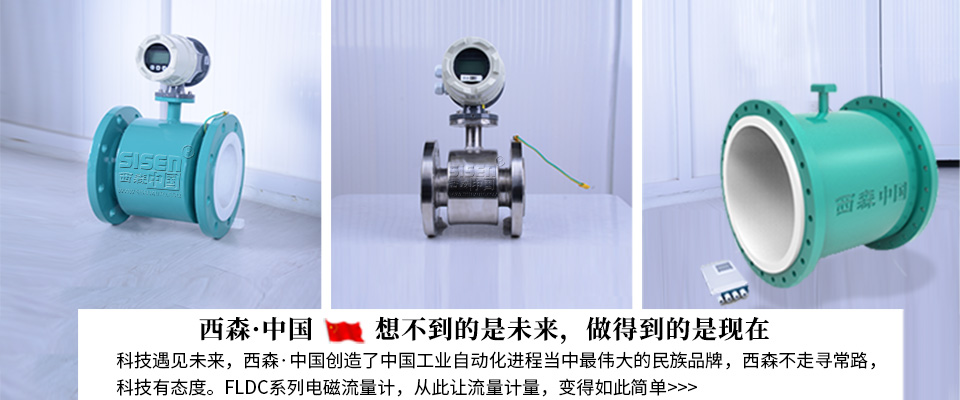 西森FLDC污水電磁流量計(jì)