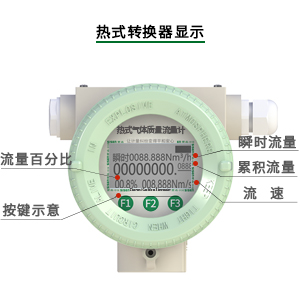 熱式氣體質(zhì)量流量計(jì)表頭顯示