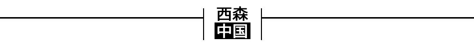西森中國(guó)橫條標(biāo)題950x90.jpg