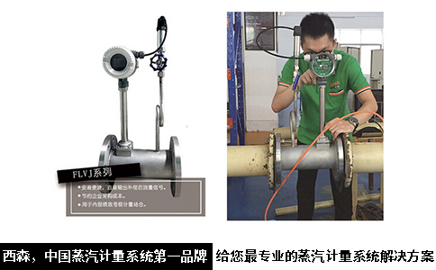 西森中國蒸汽計量系統(tǒng).jpg