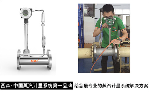 中國蒸汽計量系統(tǒng)第一品牌.jpg