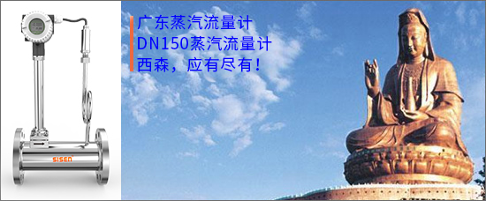 廣東蒸汽流量計(jì).jpg