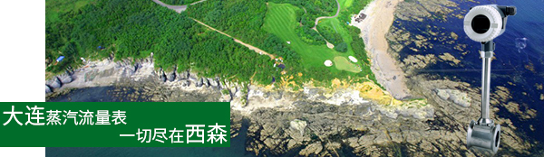 大連乾丞房地產(chǎn).jpg