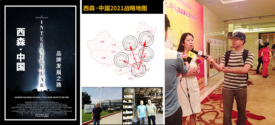 西森雷達物位計戰(zhàn)略地圖
