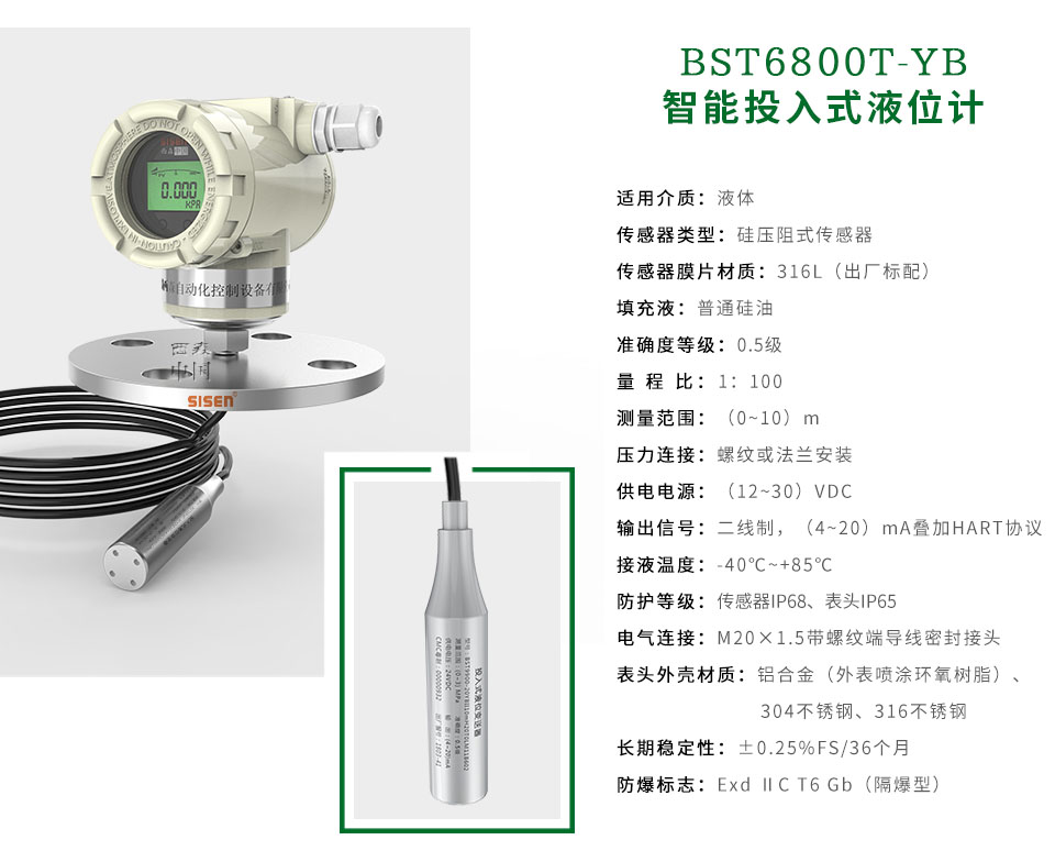 BST6800T-YB智能投入式液位計(jì)廠家