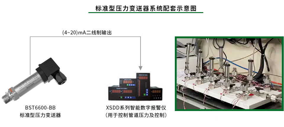 不銹鋼棒式壓力變送器系統(tǒng)展示
