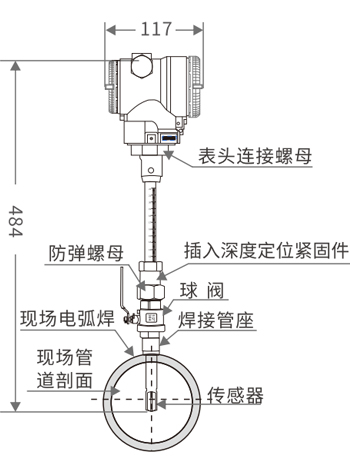 西森插入式熱式氣體質(zhì)量流量計(jì)安裝示意圖